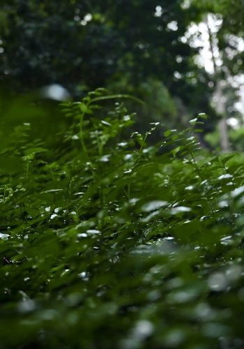DSC_5929