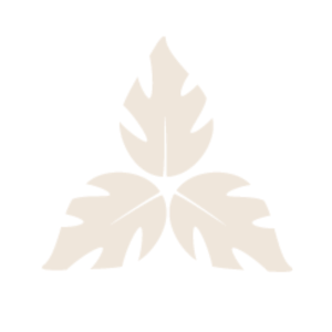 green county asset 1